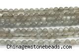 CMS2294 15 inches 6mm round grey moonstone beads wholesale
