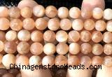 CMS2307 15 inches 8mm round moonstone gemstone beads