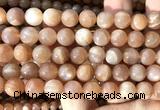 CMS2308 15 inches 10mm round moonstone gemstone beads