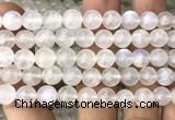 CMS2312 15 inches 8mm round white moonstone gemstone beads