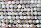 CMS2351 15 inches 8mm round white moonstone beads wholesale