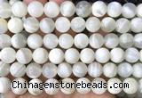CMS2352 15 inches 10mm round white moonstone beads wholesale