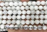 CMS2368 15 inches 8mm round white moonstone beads wholesale