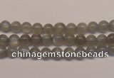 CMS300 15.5 inches 5mm round natural grey moonstone beads wholesale