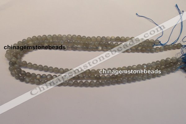 CMS300 15.5 inches 5mm round natural grey moonstone beads wholesale