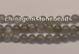 CMS301 15.5 inches 6mm round natural grey moonstone beads wholesale