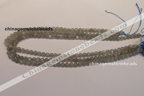 CMS301 15.5 inches 6mm round natural grey moonstone beads wholesale