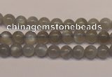 CMS302 15.5 inches 7mm round natural grey moonstone beads wholesale