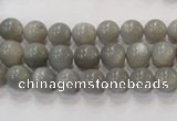 CMS303 15.5 inches 8mm round natural grey moonstone beads wholesale
