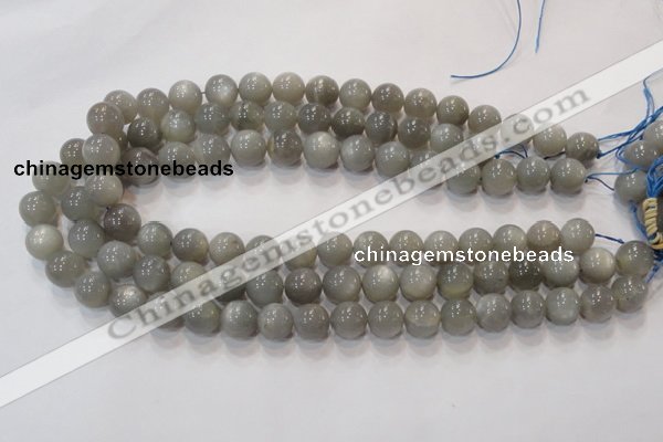 CMS303 15.5 inches 8mm round natural grey moonstone beads wholesale