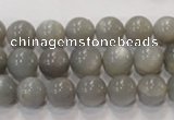 CMS305 15.5 inches 10mm round natural grey moonstone beads wholesale