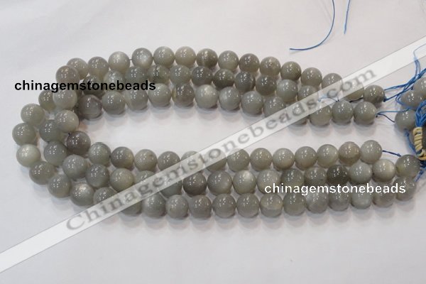 CMS307 15.5 inches 12mm round natural grey moonstone beads wholesale