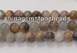 CMS310 15.5 inches 6mm round natural moonstone beads wholesale