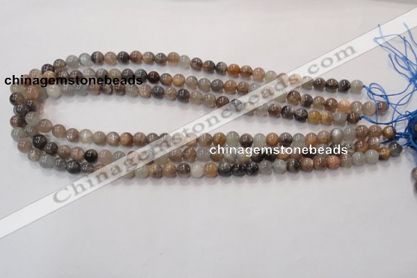 CMS310 15.5 inches 6mm round natural moonstone beads wholesale