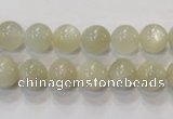 CMS311 15.5 inches 6mm round natural moonstone beads wholesale