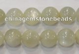 CMS314 15.5 inches 12mm round natural moonstone beads wholesale