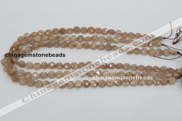 CMS43 15.5 inches 8mm faceted coin moonstone gemstone beads