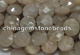 CMS44 15.5 inches 10mm faceted coin moonstone gemstone beads