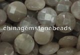 CMS46 15.5 inches 14mm faceted coin moonstone gemstone beads
