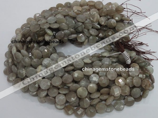 CMS46 15.5 inches 14mm faceted coin moonstone gemstone beads