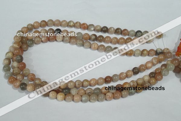 CMS503 15.5 inches 8mm round moonstone beads wholesale