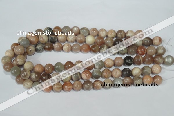 CMS505 15.5 inches 12mm round moonstone beads wholesale