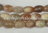 CMS511 15.5 inches 8*12mm rice moonstone beads wholesale