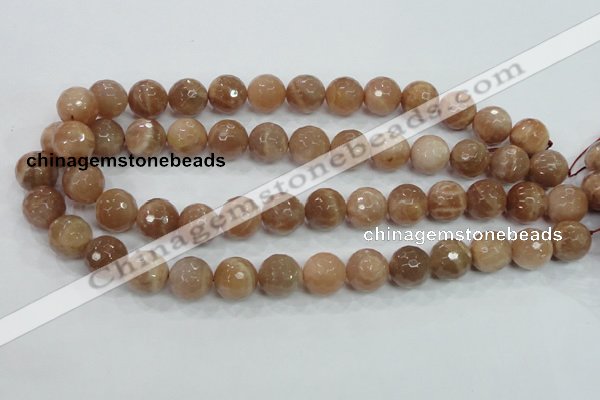 CMS62 15.5 inches 14mm faceted round moonstone gemstone beads