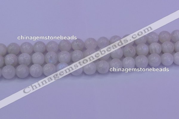 CMS644 15.5 inches 12mm round white moonstone beads wholesale