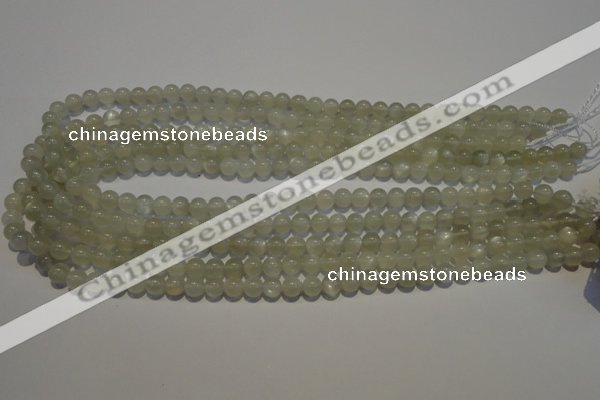 CMS651 15.5 inches 6mm round grey moonstone beads wholesale