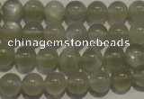 CMS652 15.5 inches 8mm round grey moonstone beads wholesale