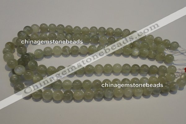 CMS653 15.5 inches 10mm round grey moonstone beads wholesale