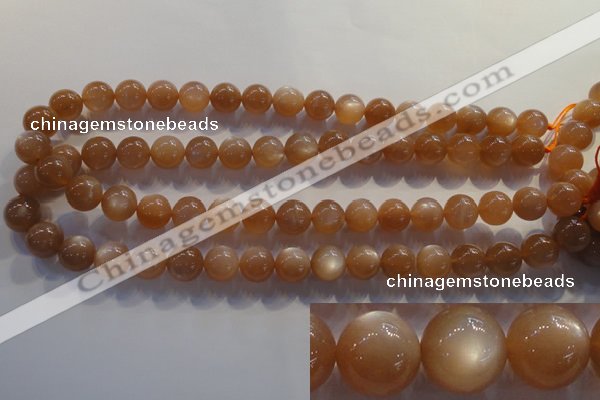 CMS734 15.5 inches 12mm round A grade natural peach moonstone beads