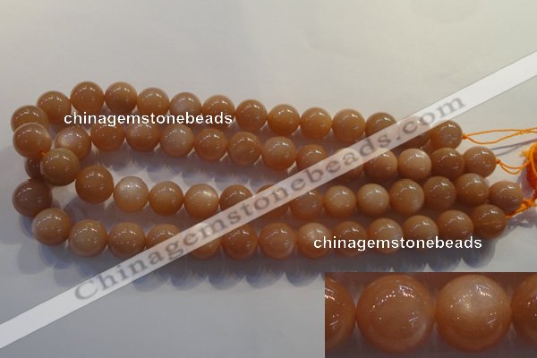 CMS735 15.5 inches 14mm round A grade natural peach moonstone beads