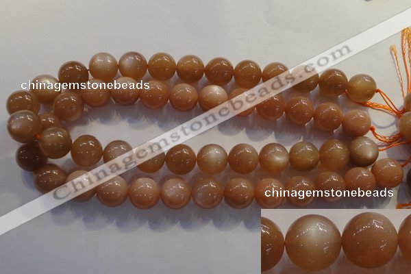 CMS736 15.5 inches 16mm round A grade natural peach moonstone beads