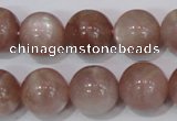 CMS756 15.5 inches 14mm round natural moonstone beads wholesale