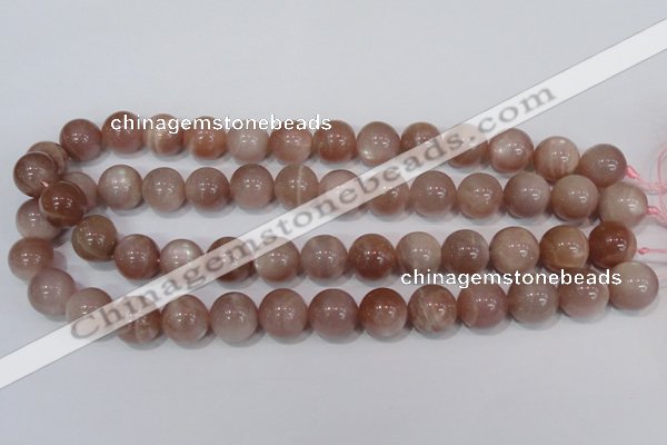 CMS756 15.5 inches 14mm round natural moonstone beads wholesale