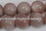 CMS759 15.5 inches 17mm round natural moonstone beads wholesale