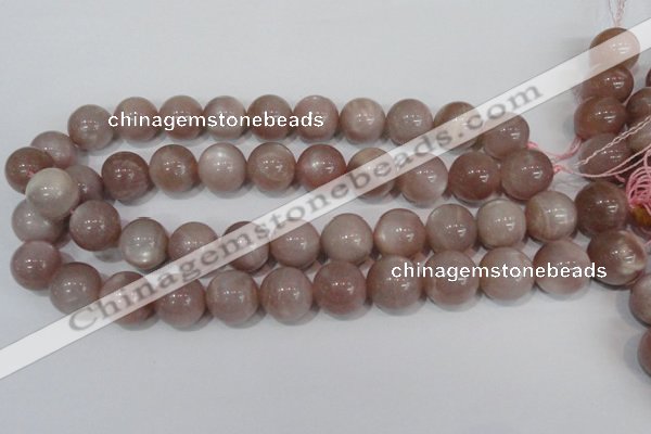 CMS759 15.5 inches 17mm round natural moonstone beads wholesale