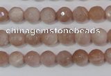 CMS764 15.5 inches 8mm faceted round natural moonstone beads