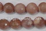 CMS767 15.5 inches 14mm faceted round natural moonstone beads