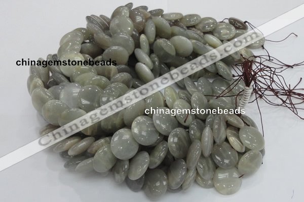 CMS79 15.5 inches 20mm flat round moonstone gemstone beads