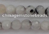 CMS801 15.5 inches 6mm faceted round white moonstone beads