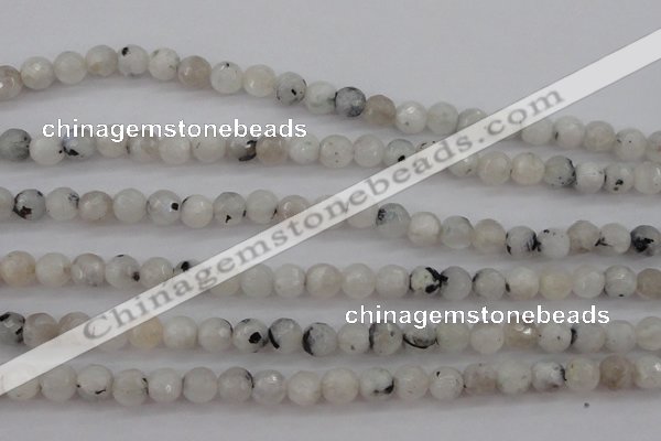 CMS801 15.5 inches 6mm faceted round white moonstone beads