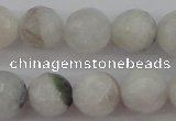 CMS802 15.5 inches 8mm faceted round white moonstone beads