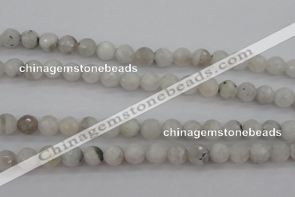 CMS802 15.5 inches 8mm faceted round white moonstone beads