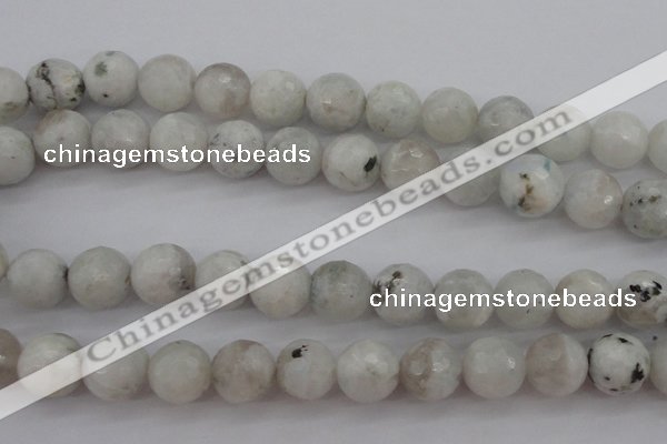 CMS804 15.5 inches 12mm faceted round white moonstone beads