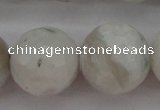CMS805 15.5 inches 14mm faceted round white moonstone beads