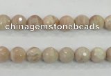 CMS83 15.5 inches 8mm faceted round moonstone gemstone beads