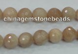 CMS84 15.5 inches 10mm faceted round moonstone gemstone beads